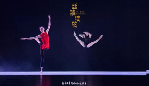 充满活力的舞蹈动画：时而激烈时而温柔，类似舞动青春的热血故事
