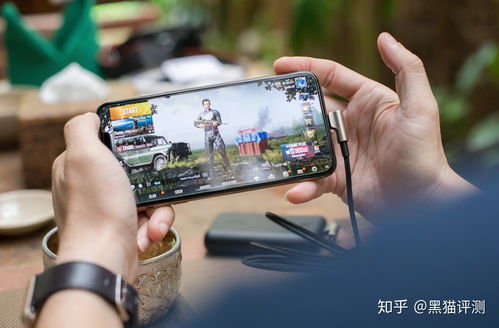 花开树下游戏苹果版下载-花开树下可化妆无广告版下载v.0.41